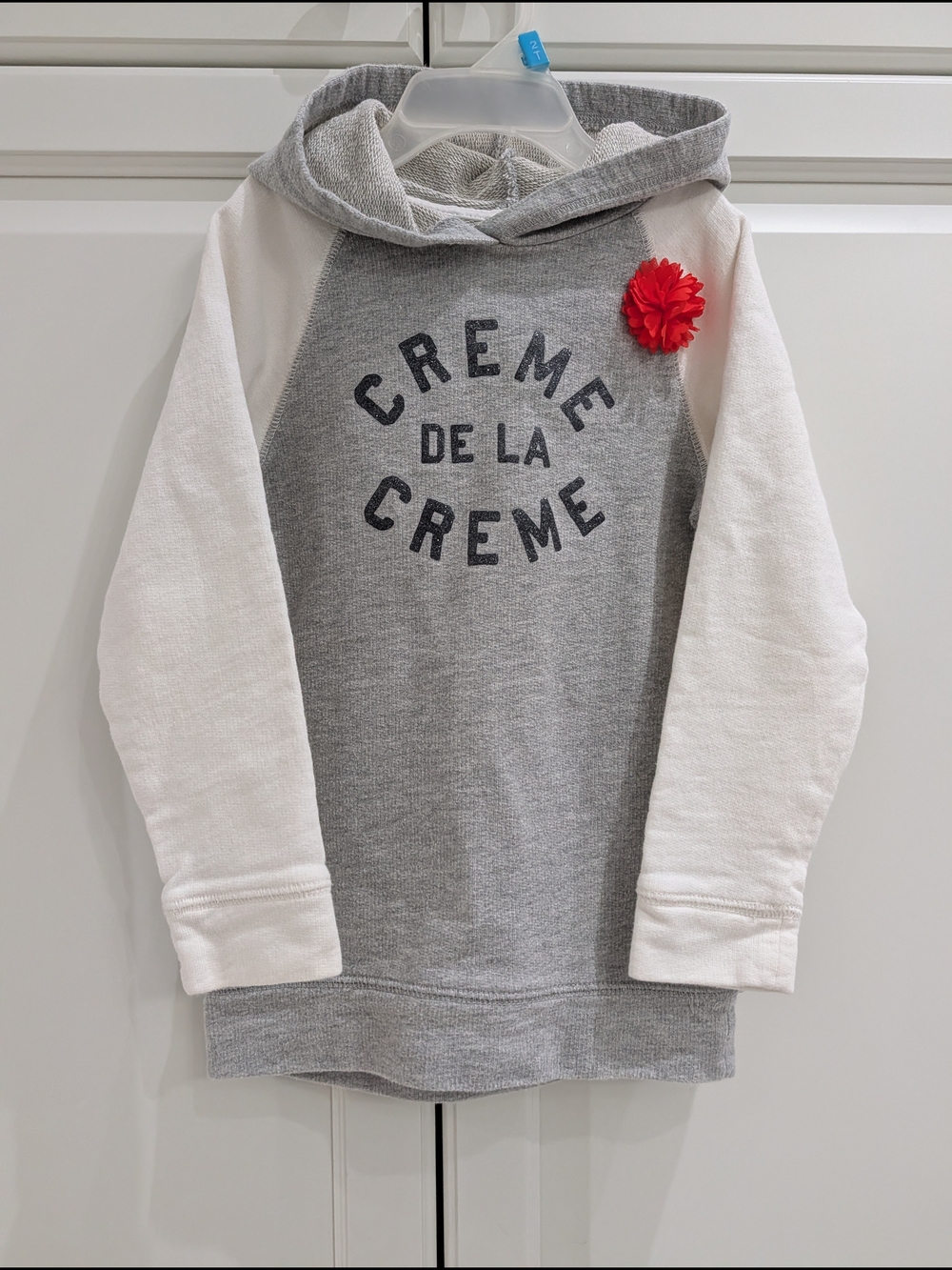 5/$35 OshKosh B'gosh Graphic Hoodie – Girls Size 5T